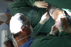 Teaching omtrent totale knieprothese