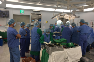 Doctor Lagast meeting and teaching surgery in Gwangiu (Zuid-Korea)